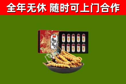 新沂烟酒回收冬虫夏草礼盒.jpg